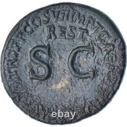 #1270146 Titus, Sesterce, 80-81, Rome, Very rare, Bronze, TTB, RIC401