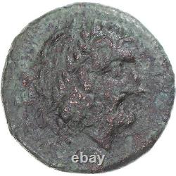 Coin, Calabria, Semis, 2nd century BC, Brundisium, Very rare, Fine+