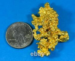 Great Natural Gold Australian Seed 52.60 Grams 1.69 Troy Ounces Very Rare