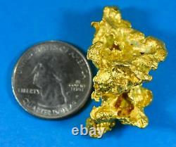 Great Natural Gold Australian Seed 53.63 Grams 1.72 Troy Ounces Very Rare
