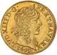 Louis Xiii Half-gold Louis Of Warin 1643 Paris Splendid In Fdc Very Rare
