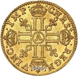 Louis XIII Half-Gold Louis of Warin 1643 Paris Splendid in FDC Very Rare
