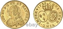 Louis XV Gold Coin with Glasses 1728 Poitiers Very Rare Quality