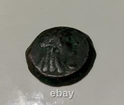 Magnificent very rare Ptolemaic Kingdom – Cleopatra I in bronze (181–173 BC)