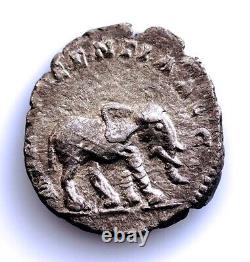 Rome-Septimius Severus. Denarius 187 AD. Elephant. Silver 2.6 g. Very Rare