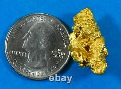 #1221 Grand Naturel Or Pépite Australien 20.60 Grammes Très Rare #1221 Grand Naturel Or Pépite Australien 20.60 Grammes Très Rare