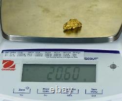 #1221 Grand Naturel Or Pépite Australien 20.60 Grammes Très Rare