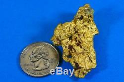 Grand Naturel Or Pépite Australien 52.36 Grammes 1.68 Troy Onces Très Rare