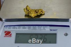 Grand Naturel Or Pépite Australien 52.36 Grammes 1.68 Troy Onces Très Rare