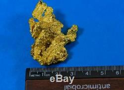 Grand Naturel Or Pépite Australien 64.76 Grammes 2.08 Troy Onces Très Rare
