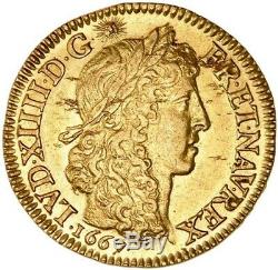 Louis XIV Splendide Louis d'or juvénile tête laurée 1667 Paris très rare