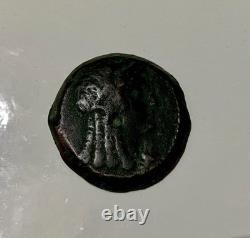 Magnifique très rare ROYAUME LAGIDE-Cleopatre 1er en bronze (181-173 av J. C)