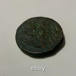 Magnifique très rare ROYAUME LAGIDE-Cleopatre 1er en bronze (181-173 av J. C)
