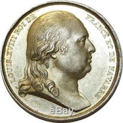 O5726 Très rare Médaille Louis XVIII Chambre Pairs Andrieu Desnoyers Argent SUP